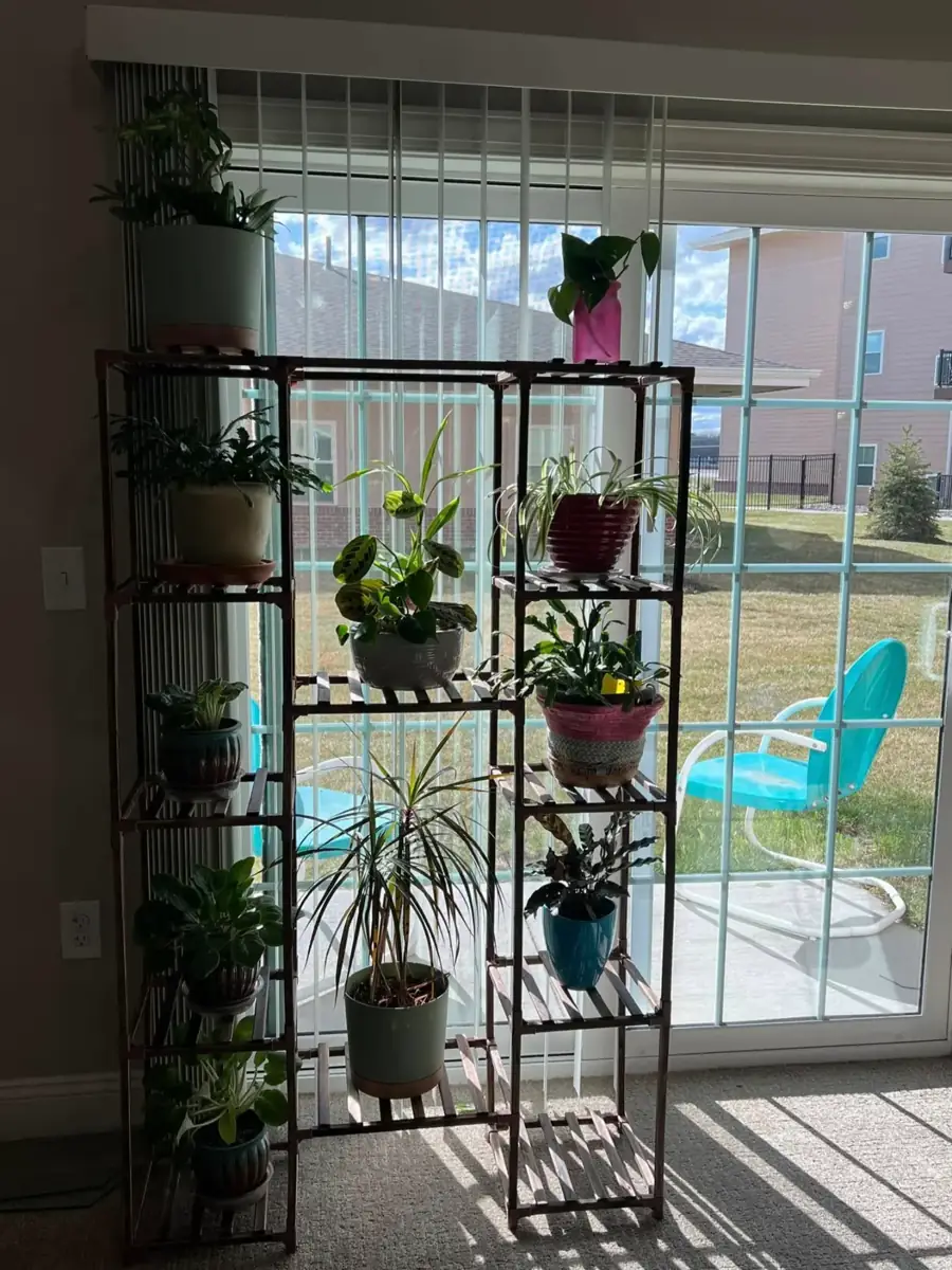 A plant stand full of houseplants in front of a sliding patio door